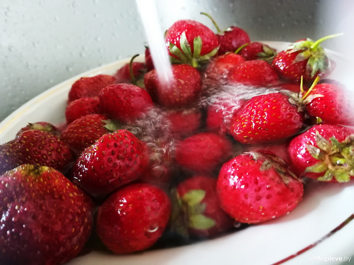 На рынках Могилёва появились первые лесные ягоды, а цены на клубнику скоро начнут расти