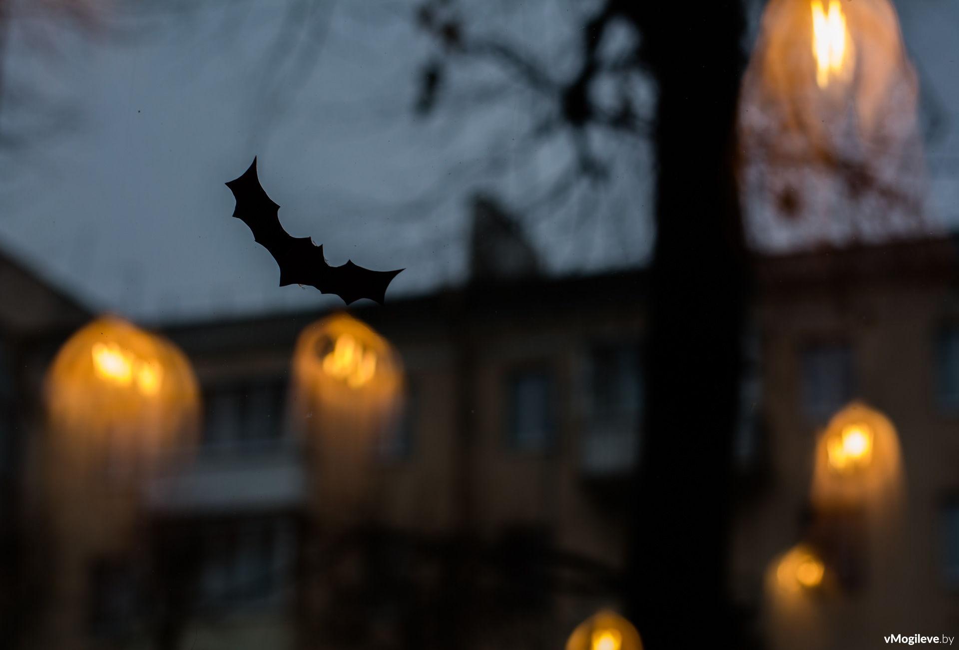 Хеллоуин в Могилеве