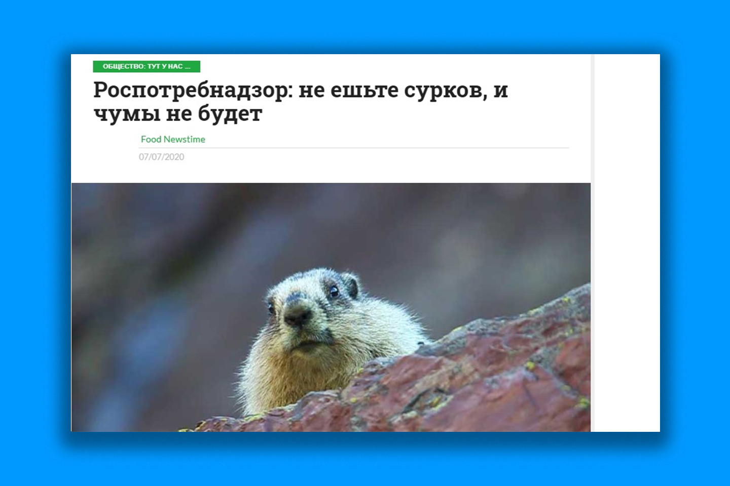 Скрин foodnewstime.ru