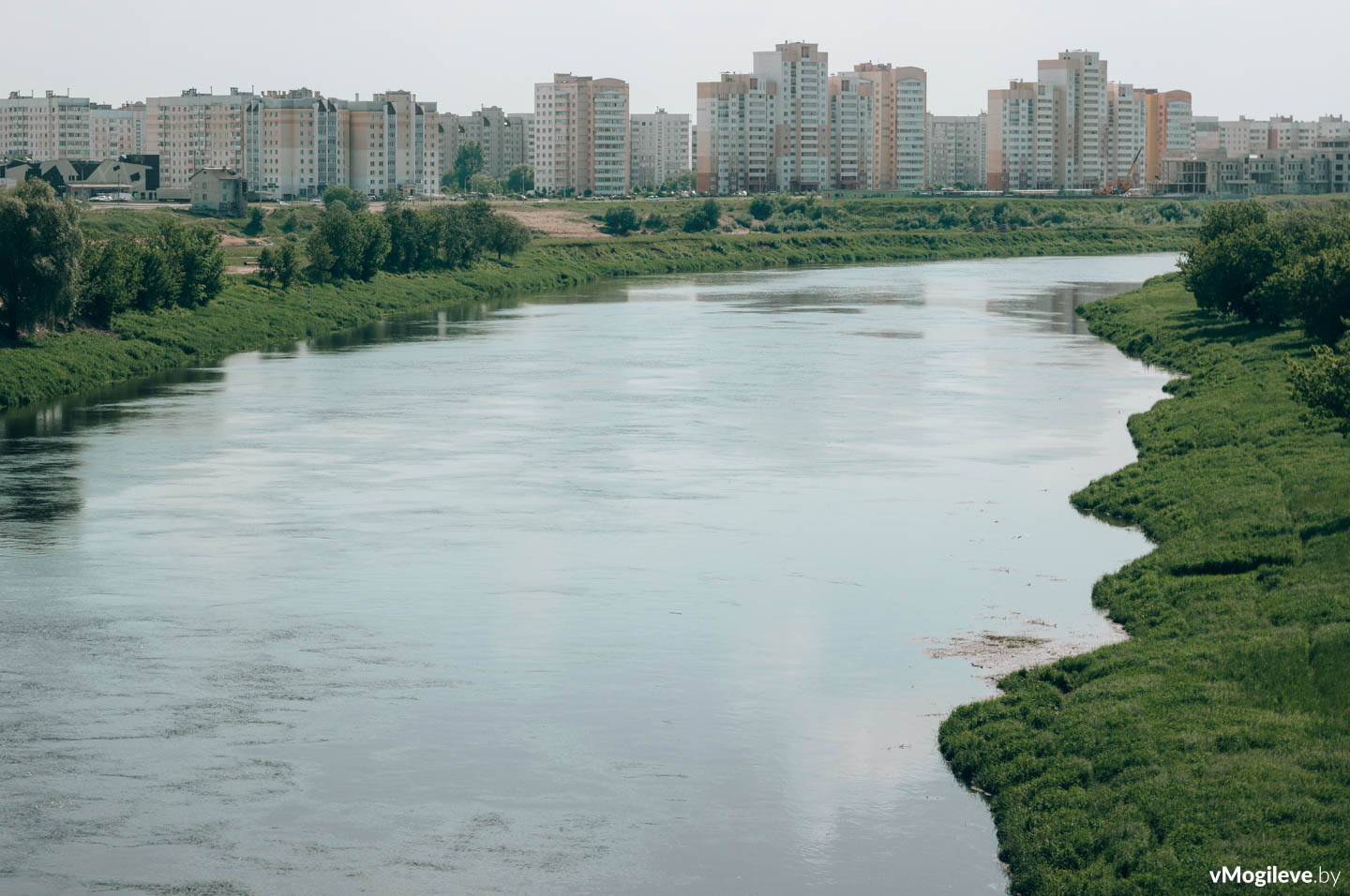 Река Днепр, Могилёв