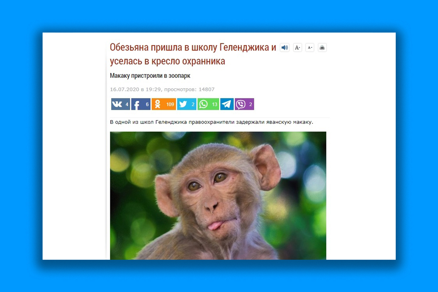 Скрин www.mk.ru