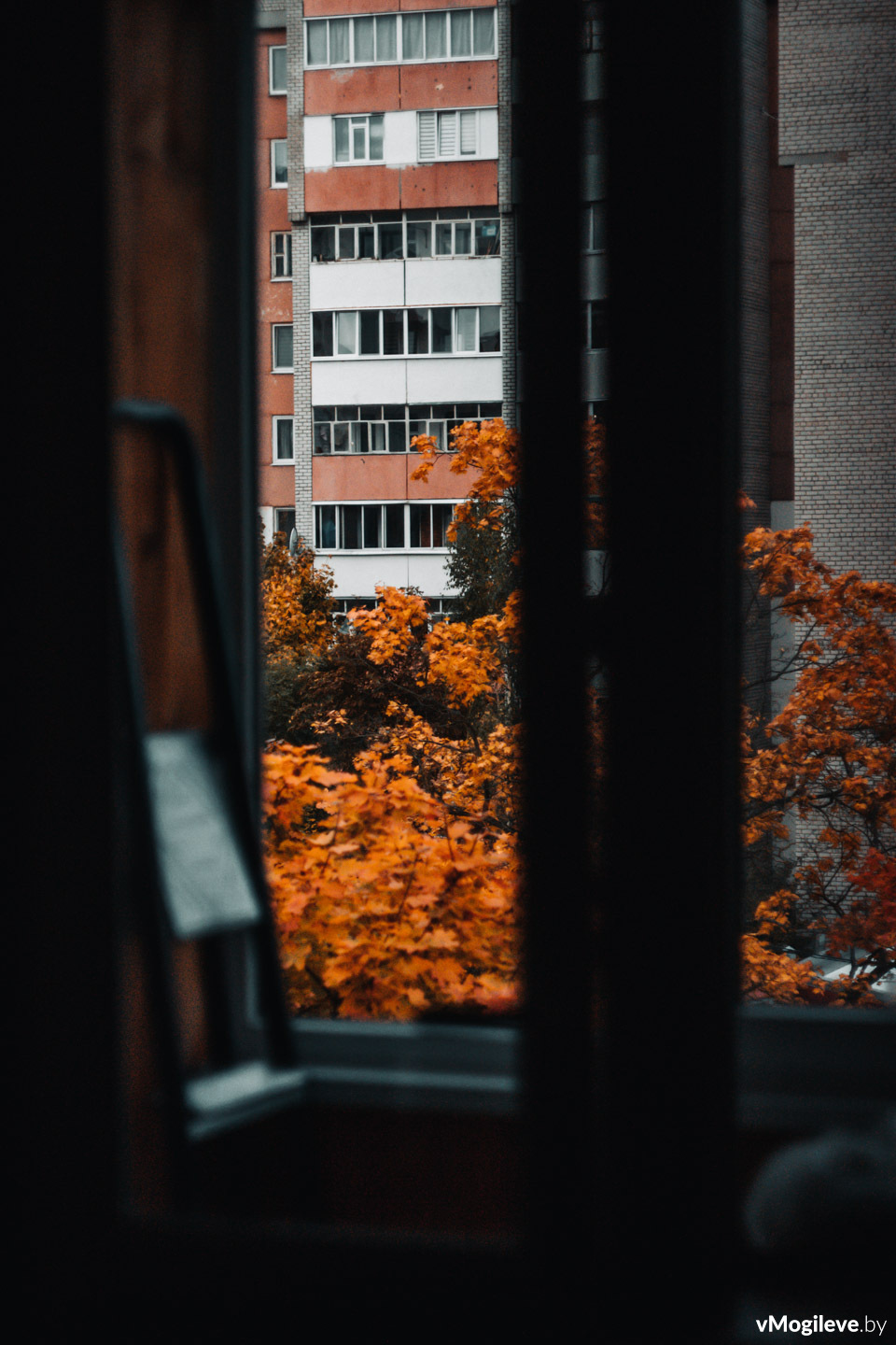 Вид на осенний Могилев из окна