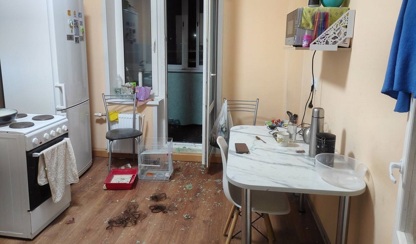 В Могилеве мужчина избил и сбросил с балкона свою сожительницу