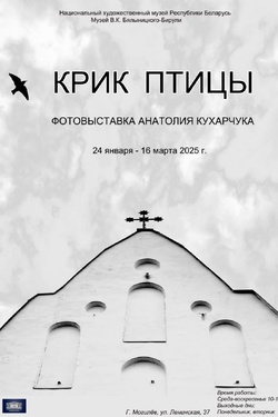 Фотовыставка «Крик птицы». Афиша выставок