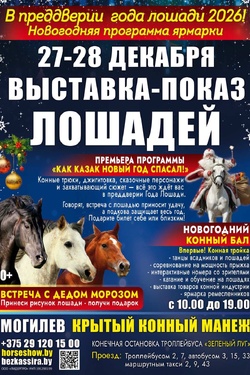 Новогоднее конное представление. Афиша мероприятий