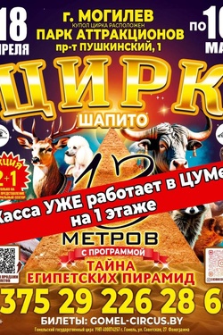 Цирк-шапито. Афиша спорта