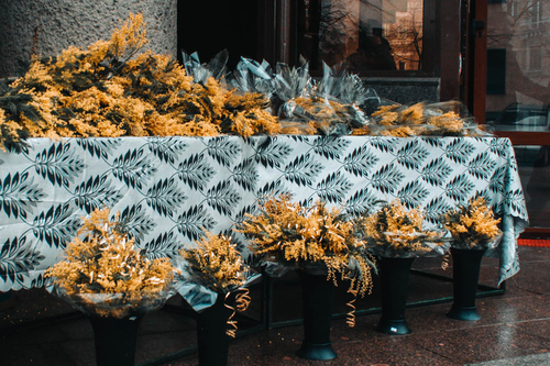 В Могилеве устроили цветочный переполох перед женским днем (СТРИТ ФОТО)